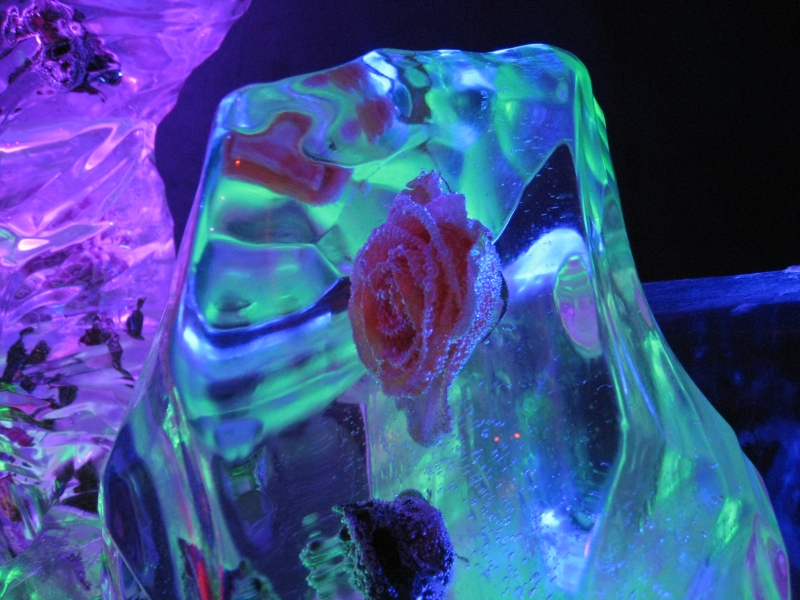 20110313_IceMuseum_024